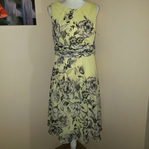 Christopher & Banks Dresses & Skirts - Christopher & Banks SZ 10 NWT
